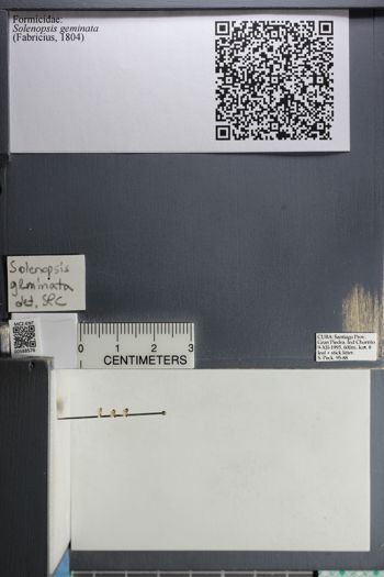 Media type: image;   Entomology 588576